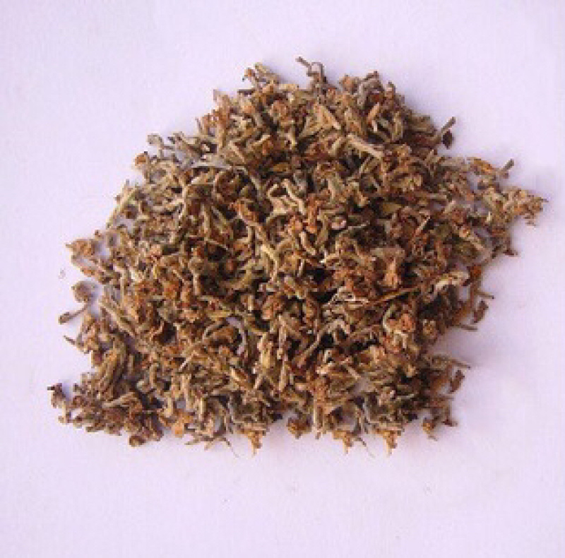 芫花药鱼草老鼠花闹鱼花头痛花闷头花头痛皮石棉皮