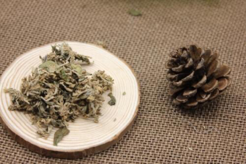 芫花药鱼草老鼠花闹鱼花头痛花闷头花头痛皮石棉皮