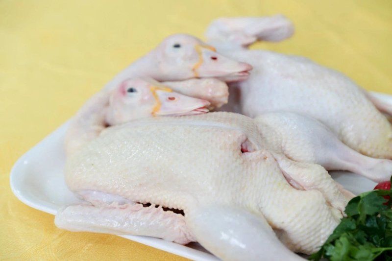 广州鸭肉批发，质优价廉，工厂加工现杀现卖