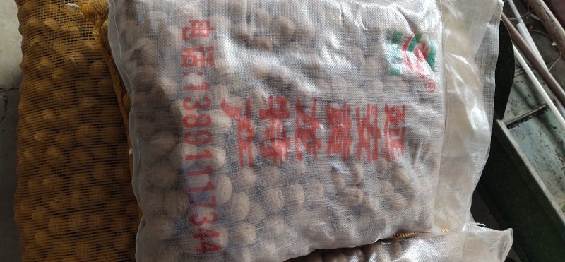 香玲核桃