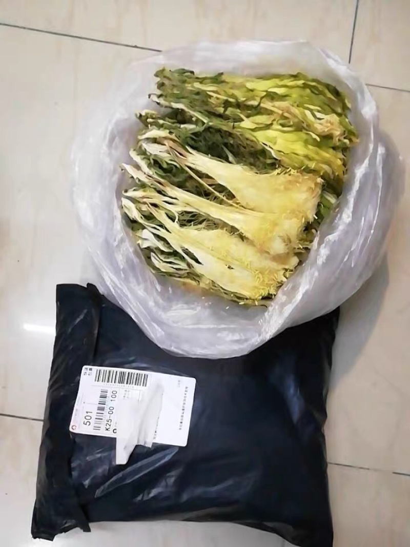 霸王花干货农家自产新花七星剑昙花霸王花农家初选