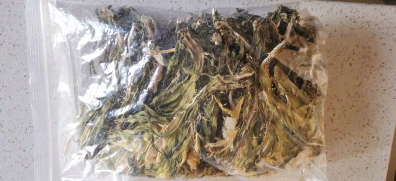 霸王花干货农家自产新花七星剑昙花霸王花农家初选