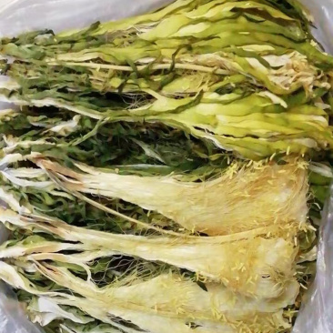 霸王花干货农家自产新花七星剑昙花霸王花农家初选