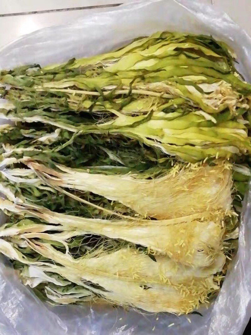 霸王花干货农家自产新花七星剑昙花霸王花农家初选