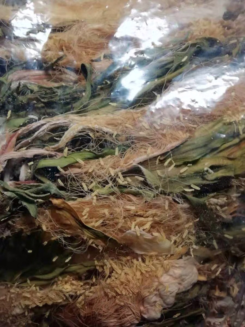 霸王花干货农家自产新花七星剑昙花霸王花农家初选