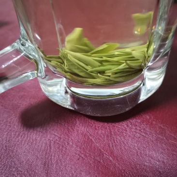 明前茶