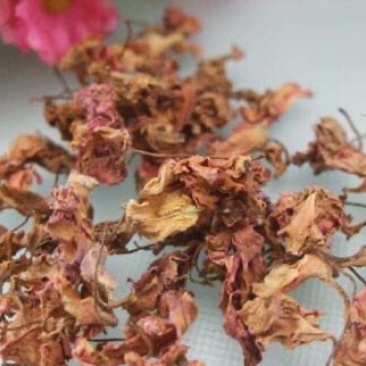 凤仙花指甲花金风花农家初选11111111