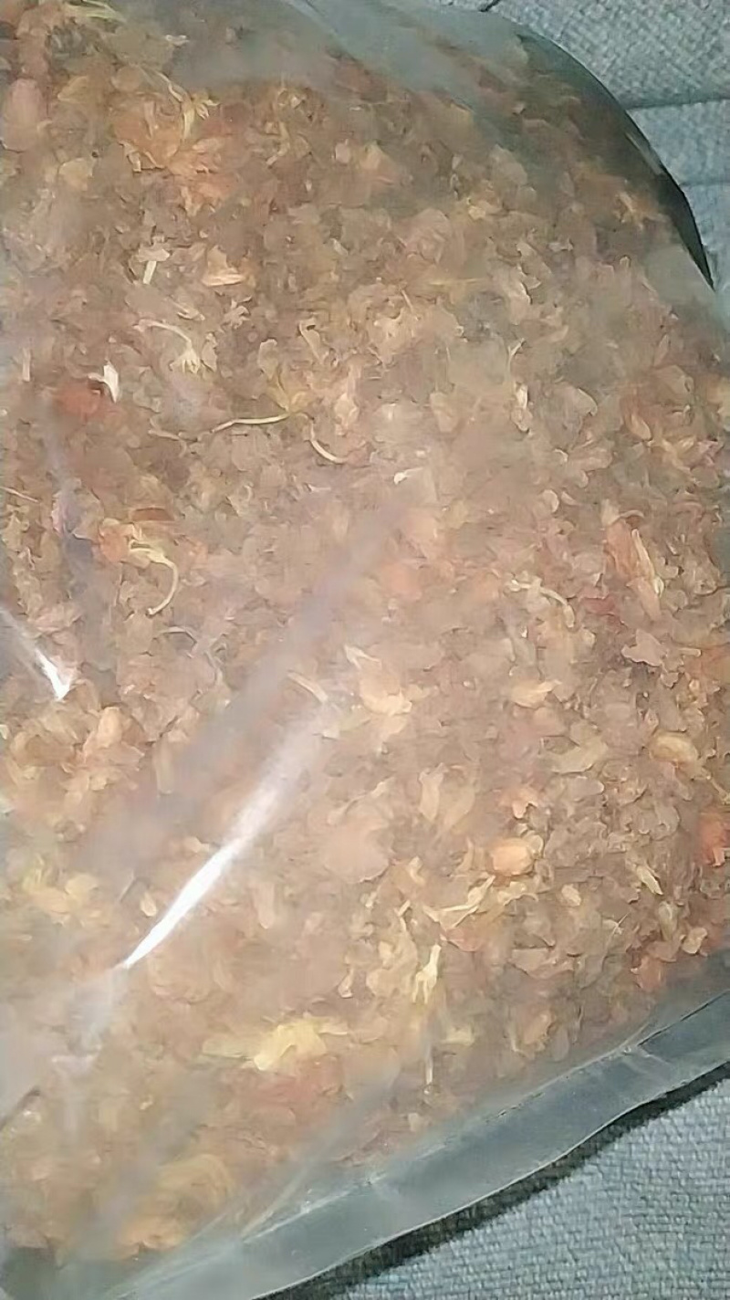 凤仙花指甲花金风花农家初选11111111