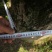 野生厚皮杜仲25年60年根皮老杜仲皮批发