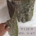 野生厚皮杜仲25年60年根皮老杜仲皮批发