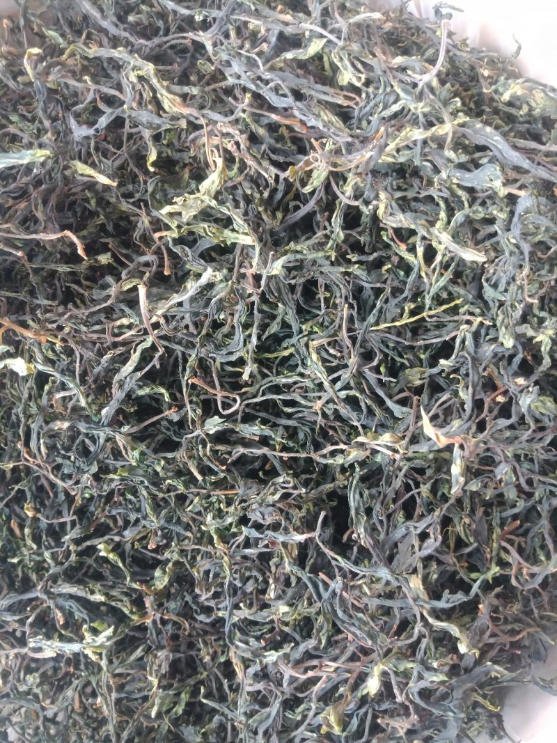 野生型古树茶