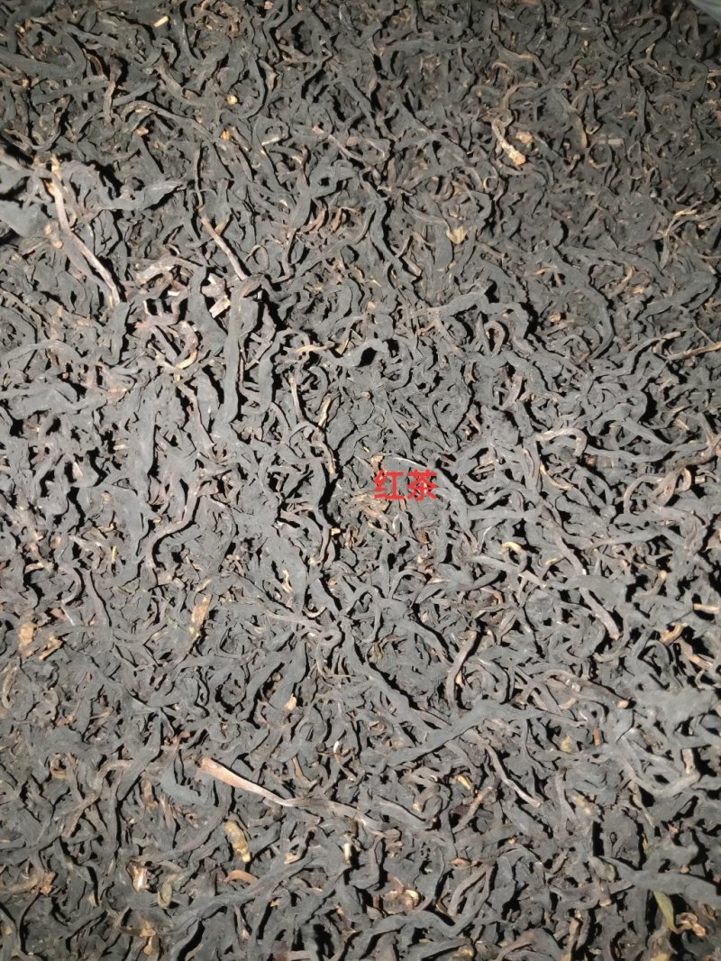 野生型古树茶