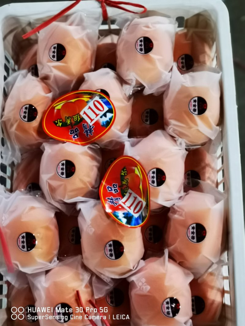 精品脐橙纽何尔/产地直销/一手货源/代办一条龙服务