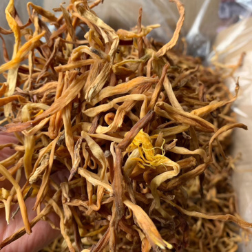 好质量黄花菜好货支持视频看货