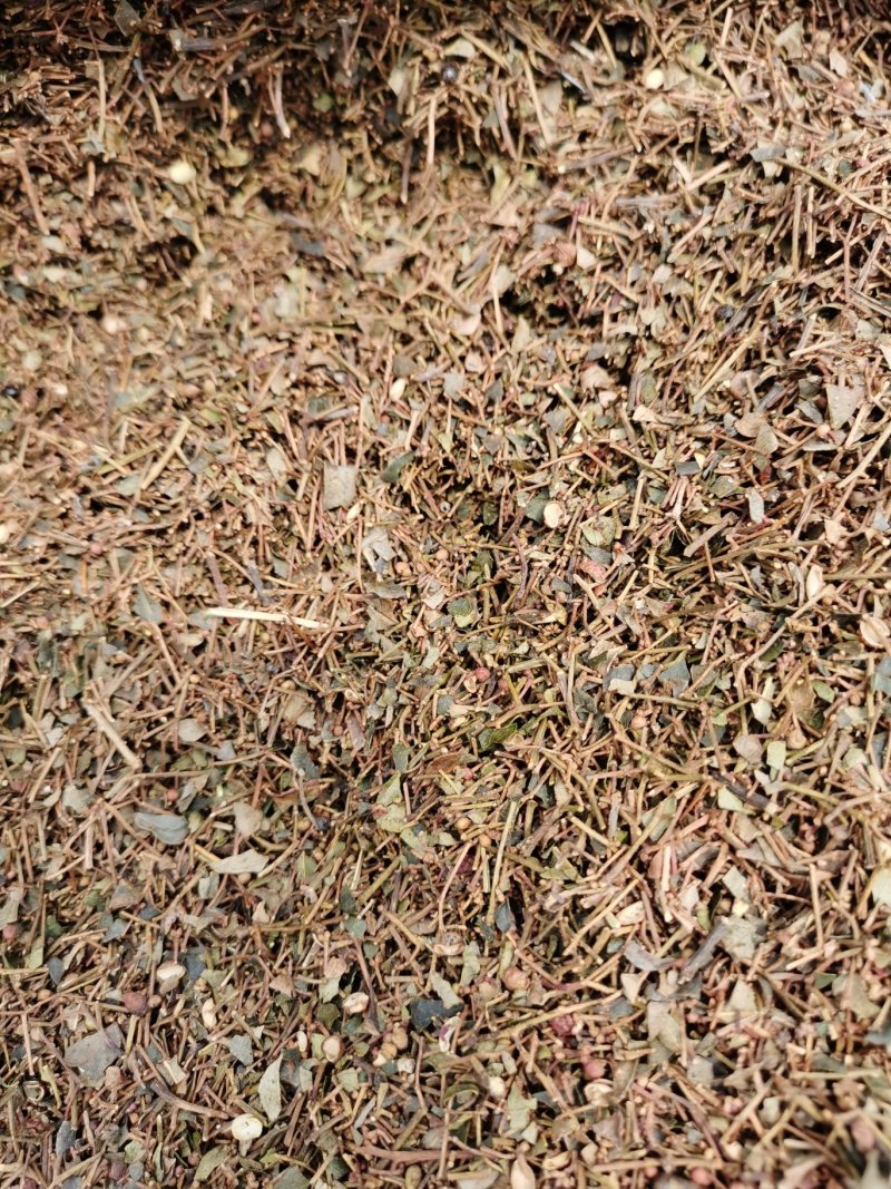 花椒杆