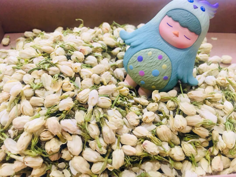 药用茉莉花干花茉莉花茶农家初选1111111