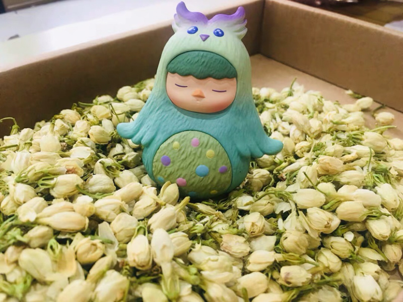 药用茉莉花干花茉莉花茶农家初选1111111