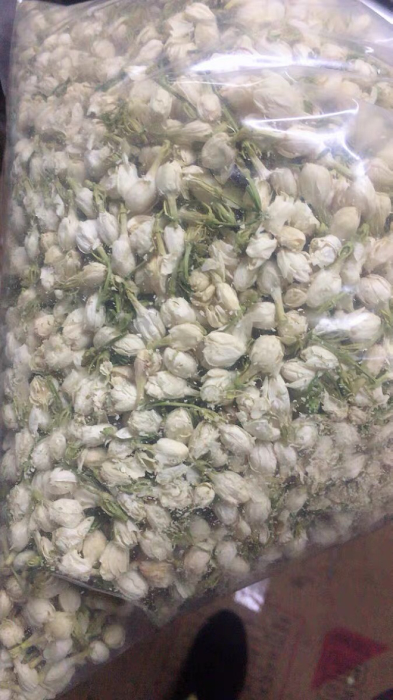 药用茉莉花干花茉莉花茶农家初选1111111