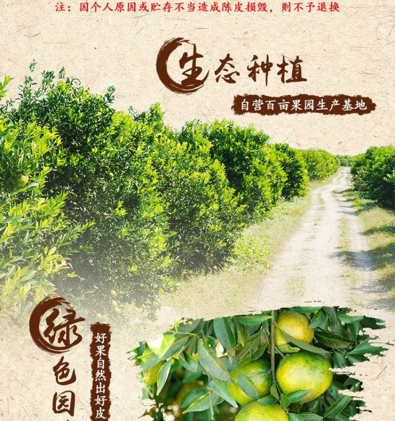 特产新会陈皮正宗老陈皮天然生晒陈皮