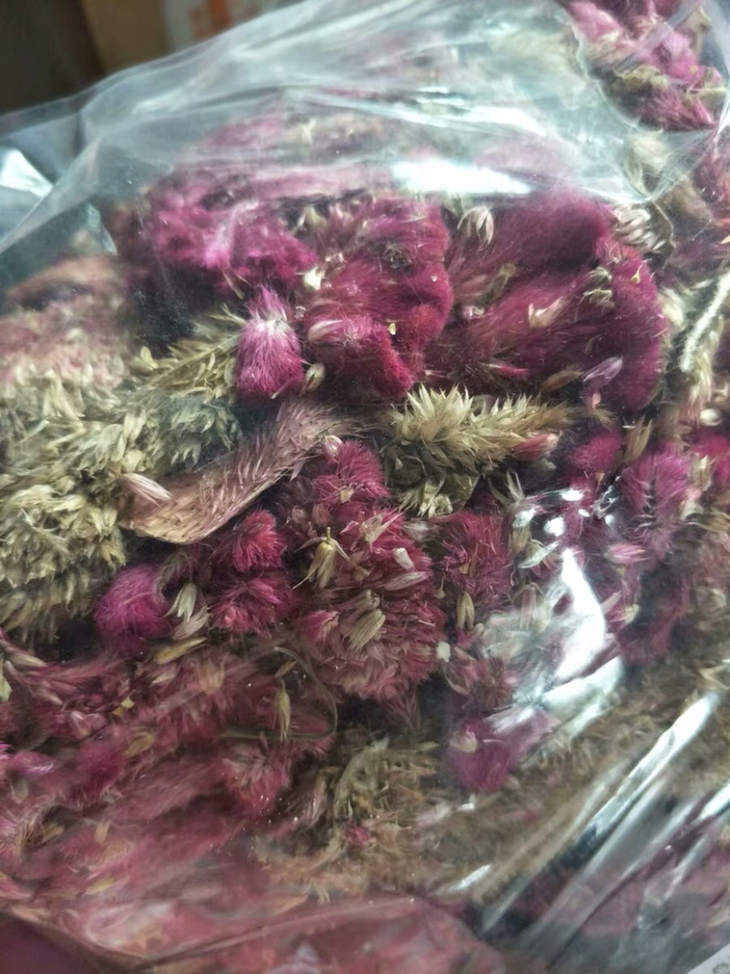 药用鸡冠花鸡冠花干花农家初选1111111
