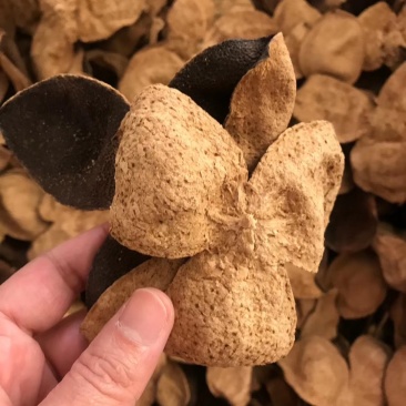 大量现货库存陈皮正宗新会十五年老陈皮批发陈皮干