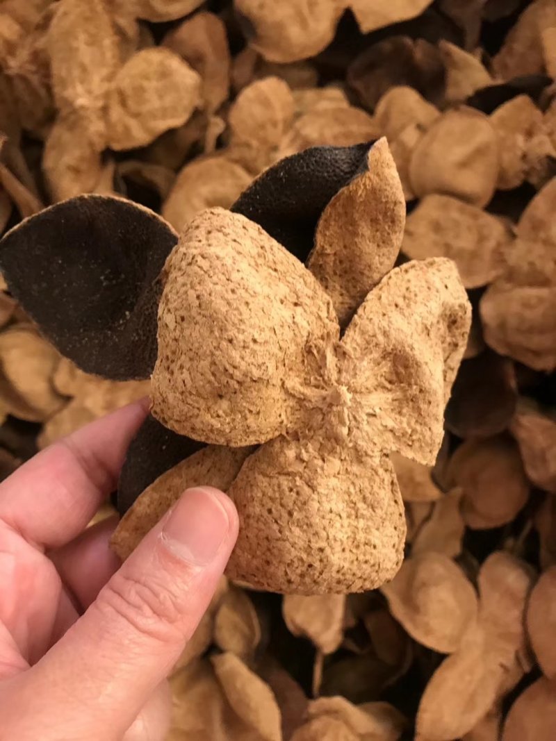 大量现货库存陈皮正宗新会十五年老陈皮批发陈皮干