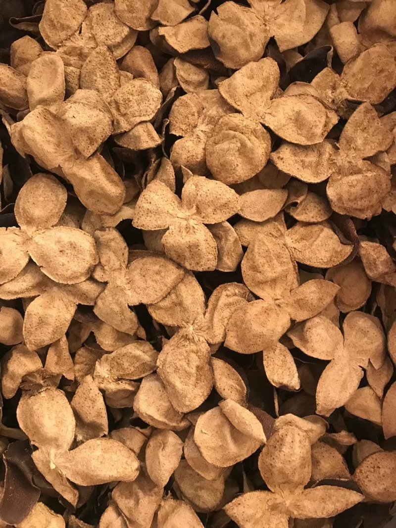 大量现货库存陈皮正宗新会十五年老陈皮批发陈皮干