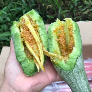 羊角蜜甜瓜，现货，地头装货，人工免费，，