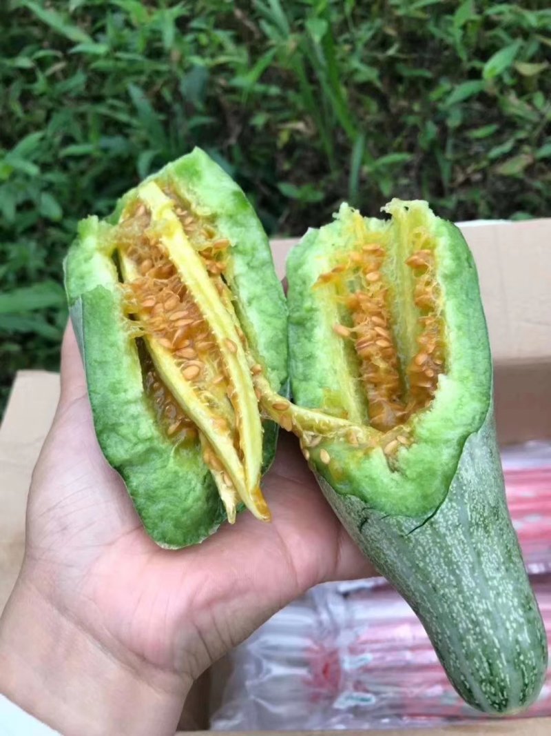 羊角蜜甜瓜，现货，地头装货，人工免费，，