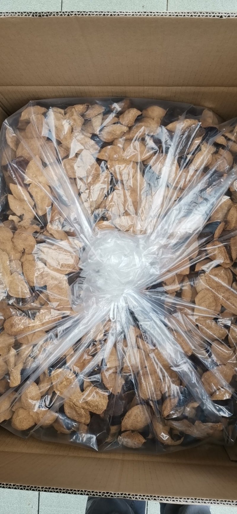 大量现货库存陈皮正宗新会十五年老陈皮批发陈皮干
