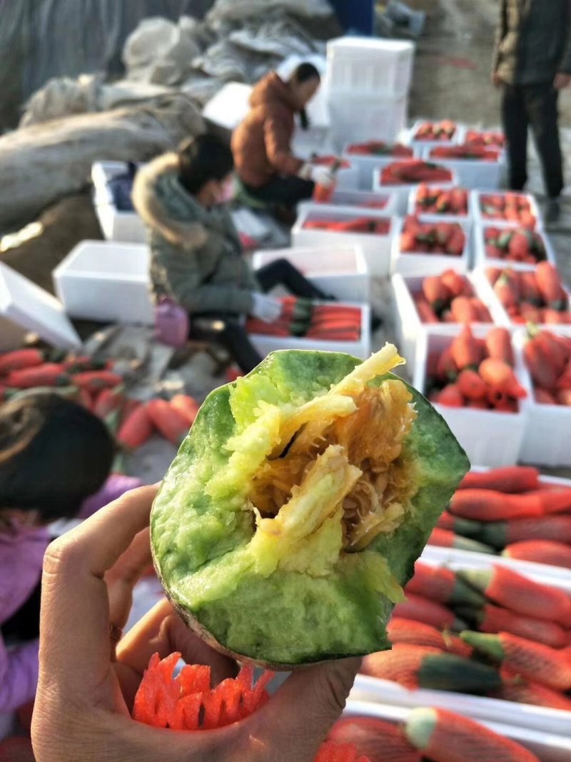 羊角蜜甜瓜，现货，地头装货，人工免费，，