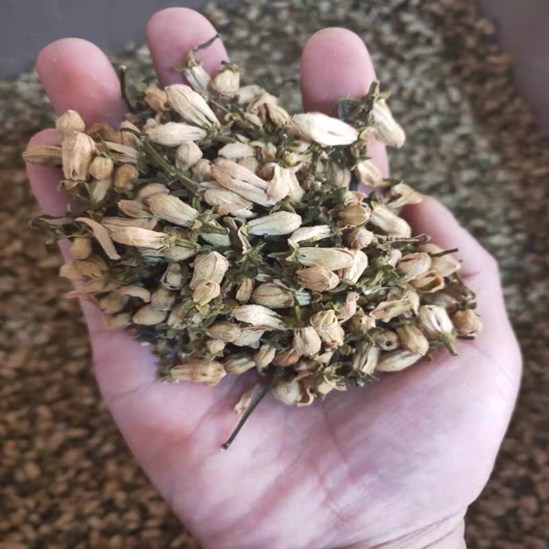 玳玳花中药材中草药农家初选111111111