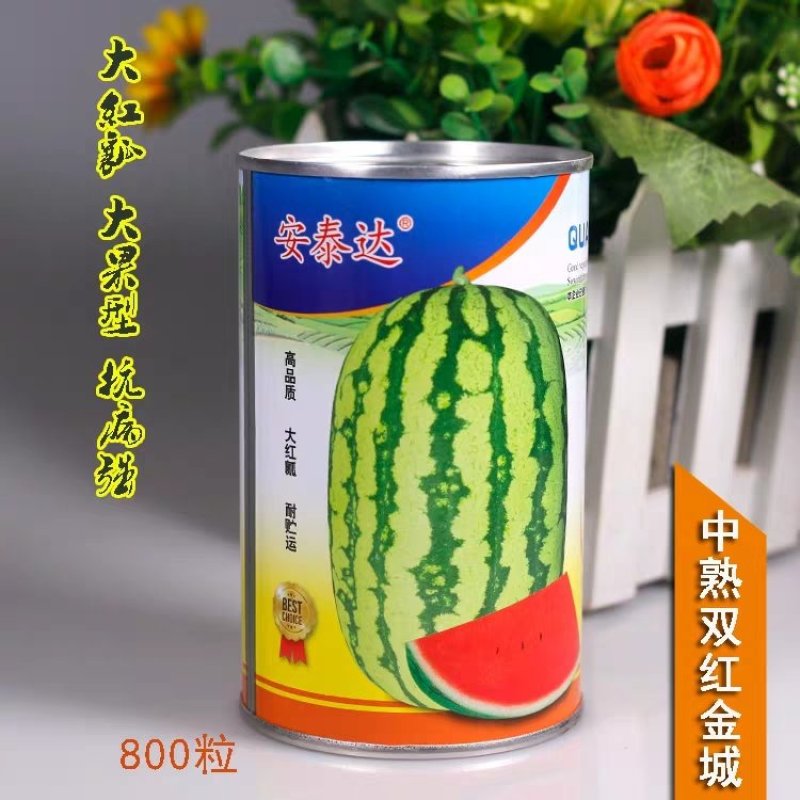 红金城五号西瓜种子甘肃原产中熟椭圆皮韧双红瓤高产不空心