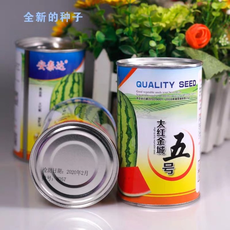 红金城五号西瓜种子甘肃原产中熟椭圆皮韧双红瓤高产不空心