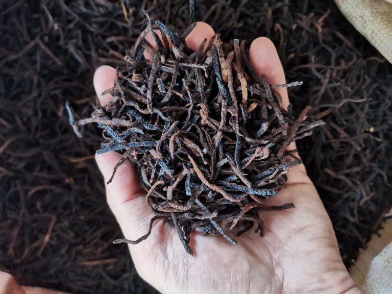 陈皮丝正宗新会陈皮批发二十年陈皮丝厂批发陈皮干陈皮碎