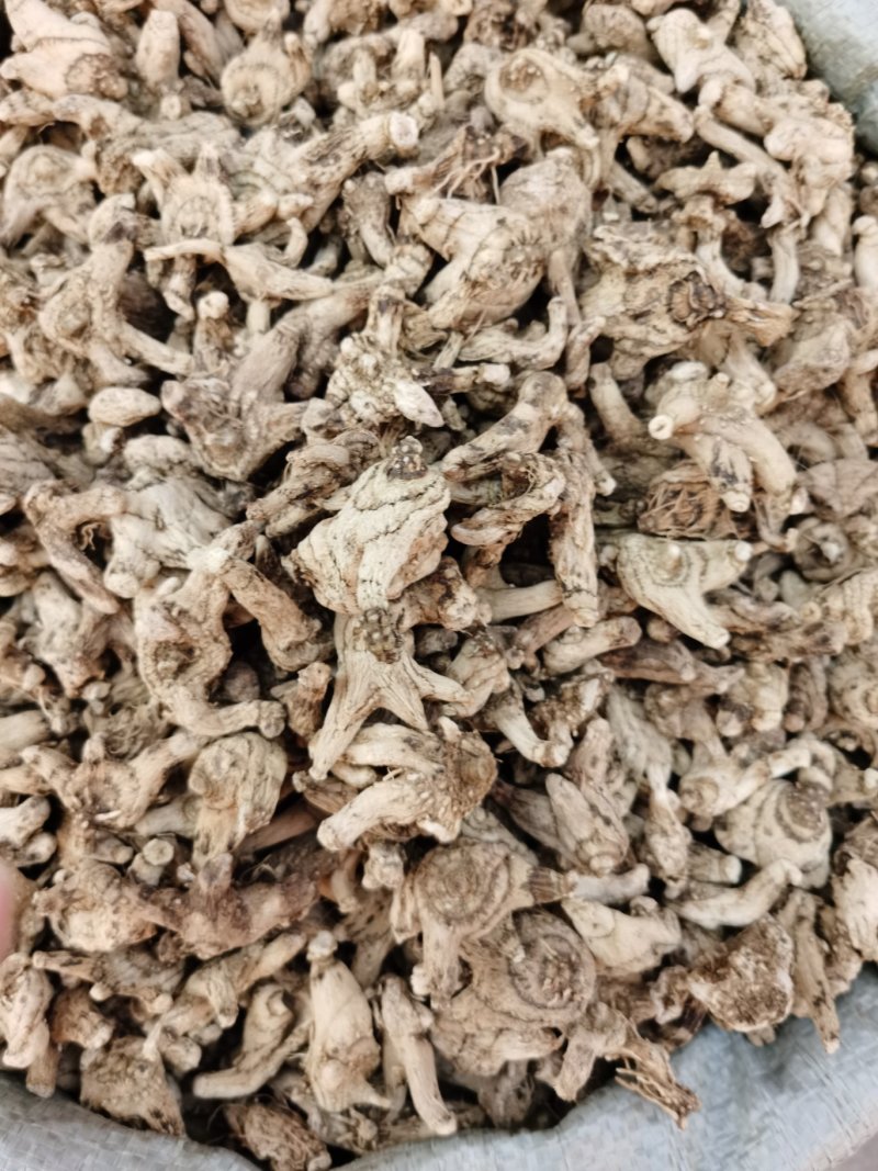 三叉白芨个常年供应多种规格三叉白芨个一手货源批发价