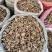 三叉白芨个常年供应多种规格三叉白芨个一手货源批发价