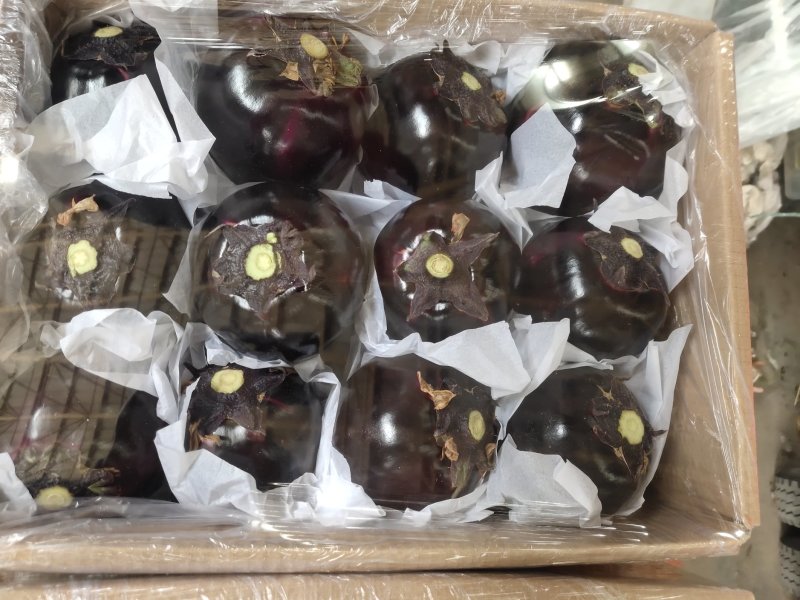 【推荐】精品圆茄，货源充足，鲜货供应，代办代发产地直销