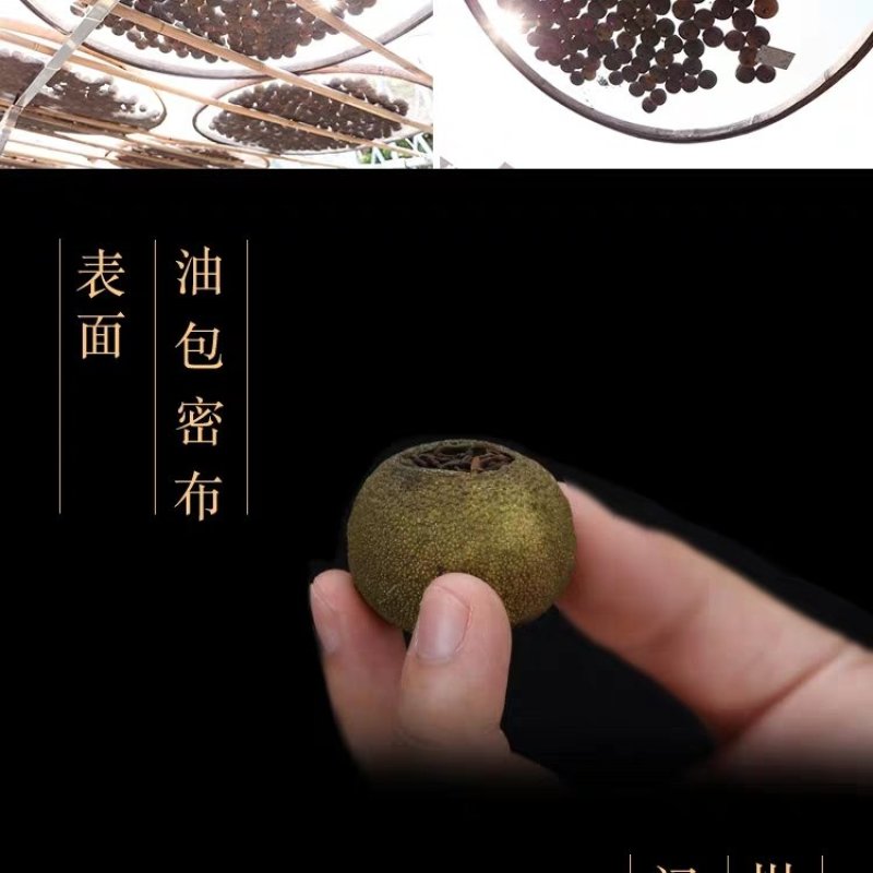 正宗新会小青柑陈皮普洱茶柑普茶大红柑陈皮茶