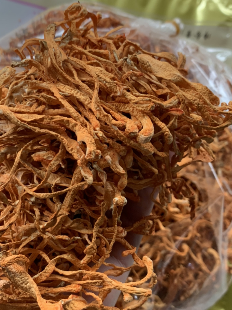 粗排草虫草花微商电商实体淘货源专业保密一件代发