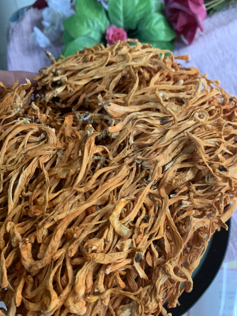 粗排草虫草花微商电商实体淘货源专业保密一件代发