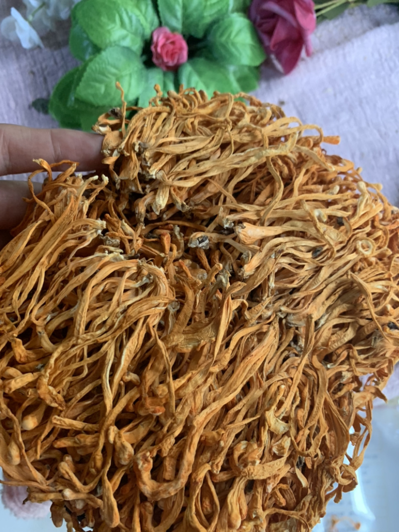粗排草虫草花微商电商实体淘货源专业保密一件代发