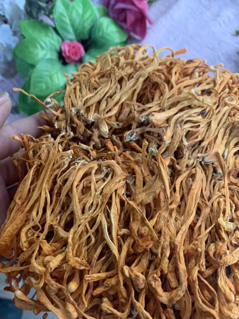 粗排草虫草花微商电商实体淘货源专业保密一件代发