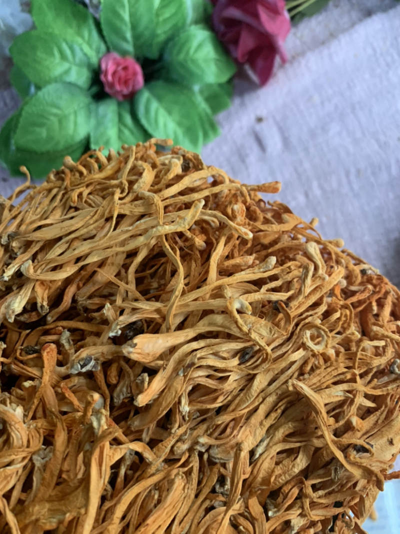 粗排草虫草花微商电商实体淘货源专业保密一件代发