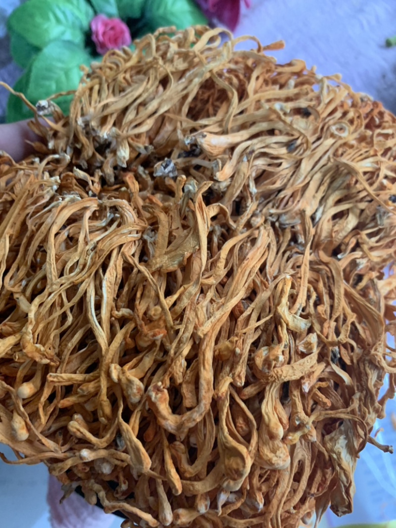 粗排草虫草花微商电商实体淘货源专业保密一件代发