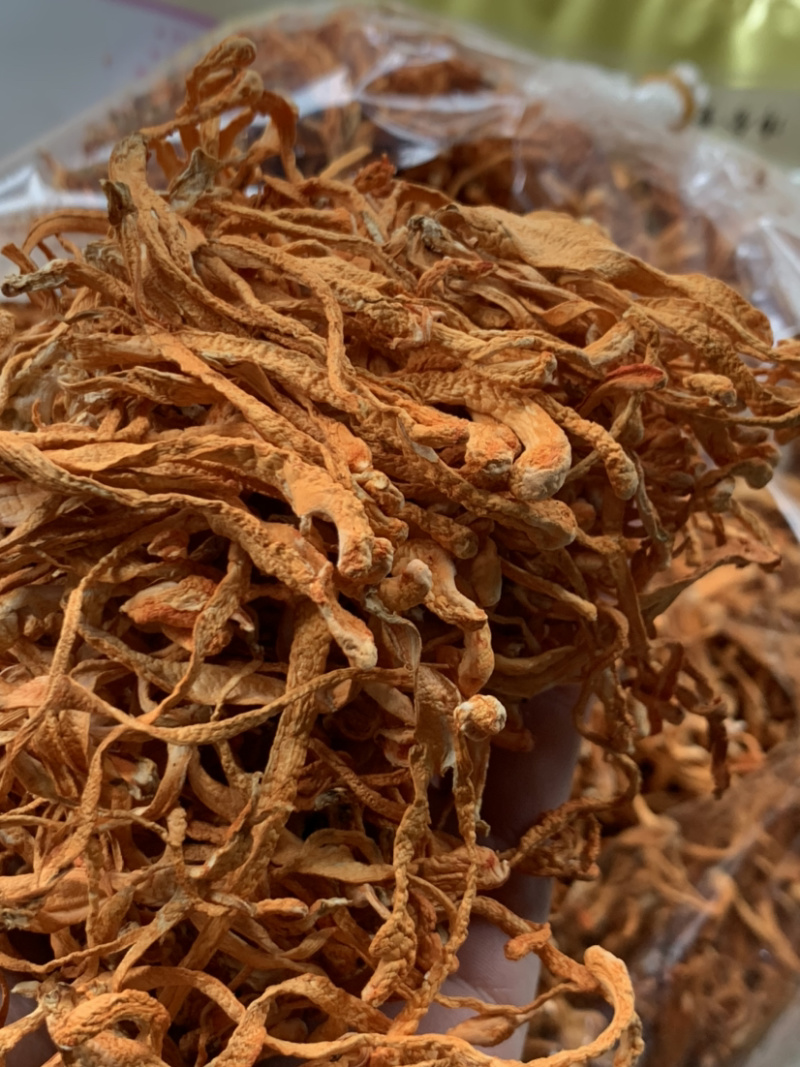 粗排草虫草花微商电商实体淘货源专业保密一件代发