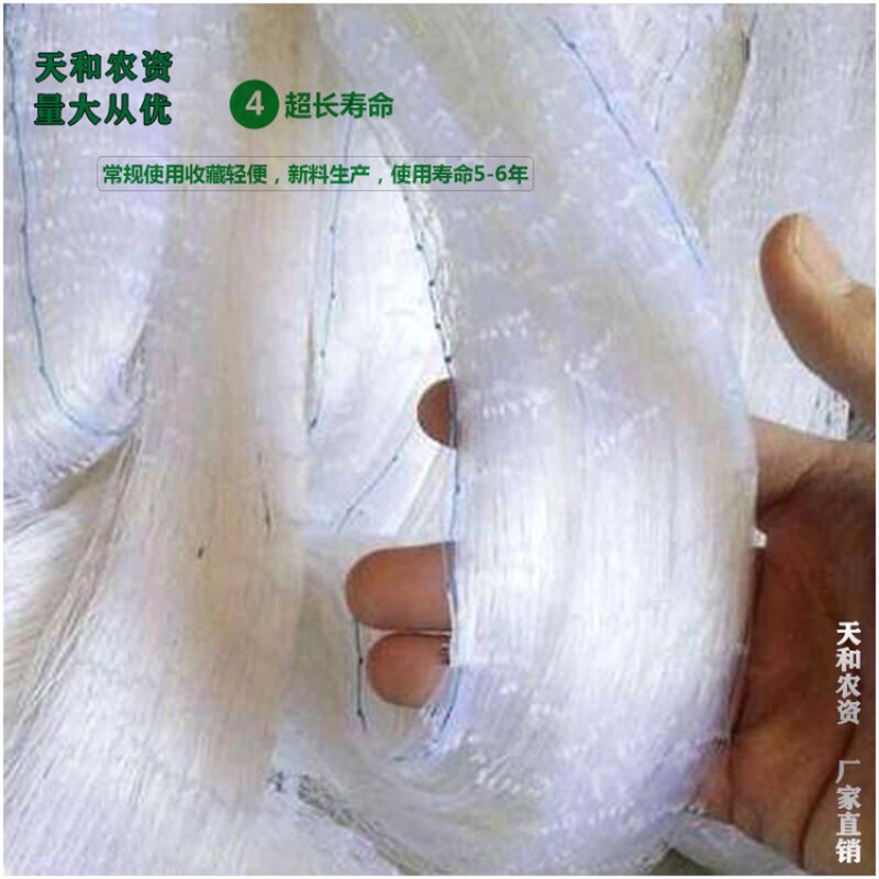 果园防鸟网樱桃葡萄果树网防鸟天网泥鳅鱼塘防护尼龙网