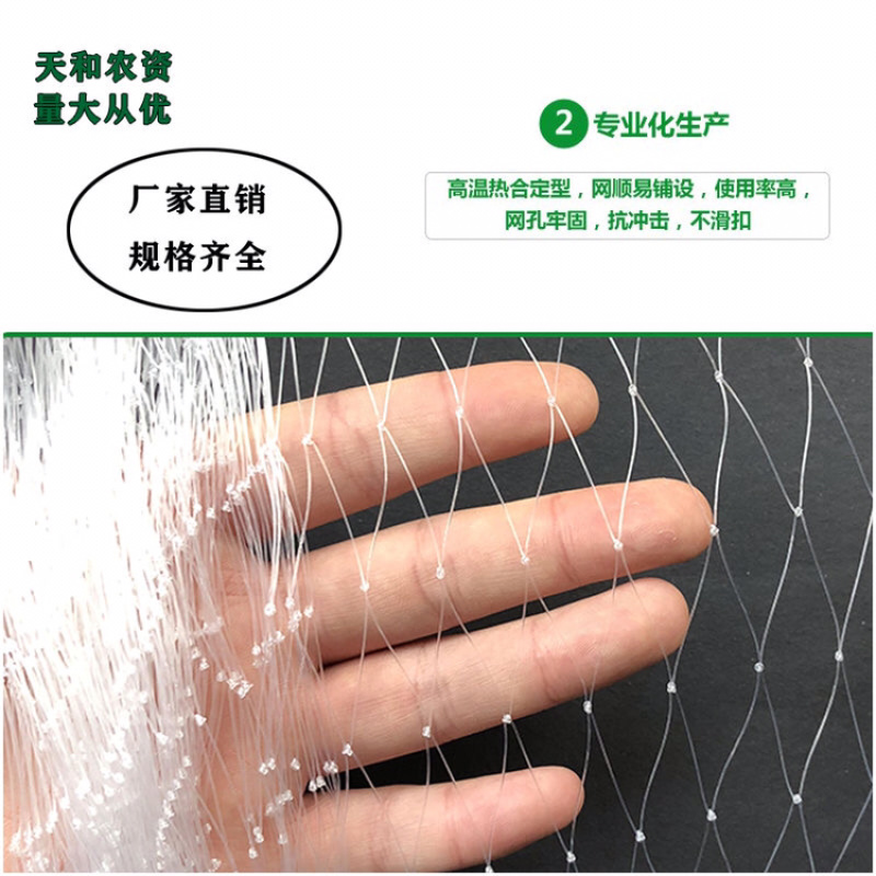 果园防鸟网樱桃葡萄果树网防鸟天网泥鳅鱼塘防护尼龙网