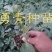 嫁接西瓜苗苗厂直供价格优惠甜王美都