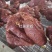 厂家直销五香熟牛肉不添加一滴淀粉保证纯肉真空包装